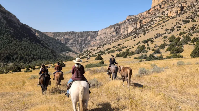 Guide to the Best Equestrian Escapes United States: Luxury and Wilderness