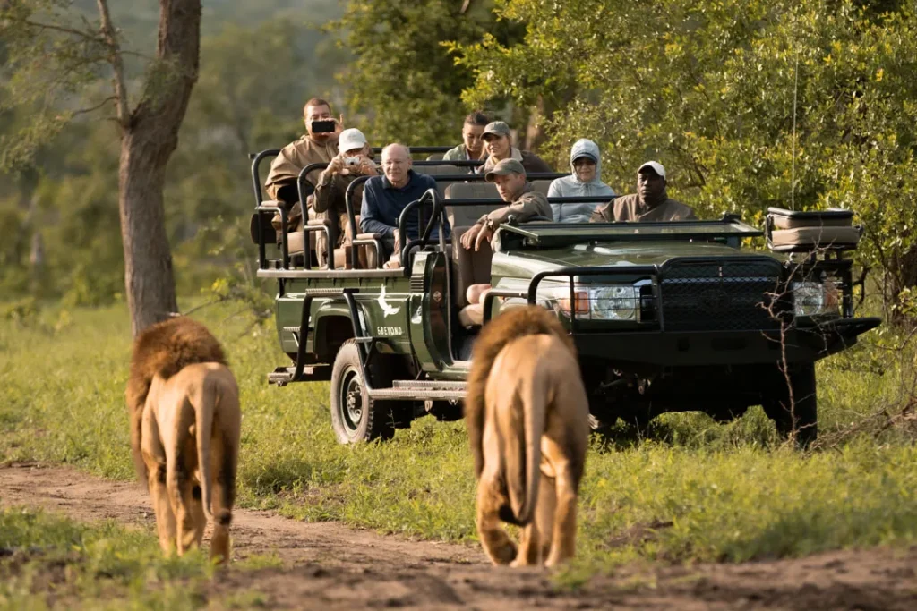 luxury safari itinerary examples