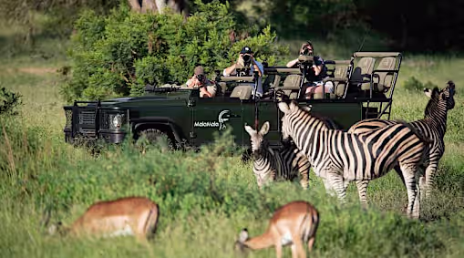 High-Tier Wildlife Logistics: Systematic Blueprinting for Premium African Expeditions
