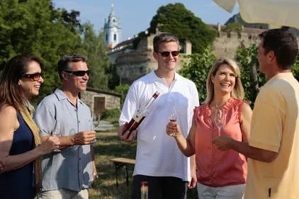 Luxury Wine Destinations USA: A Guide to Elite Viticultural Travel