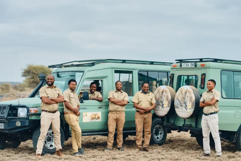 Top Safari Tour Operators: How to Choose for Elite Expedition Quality